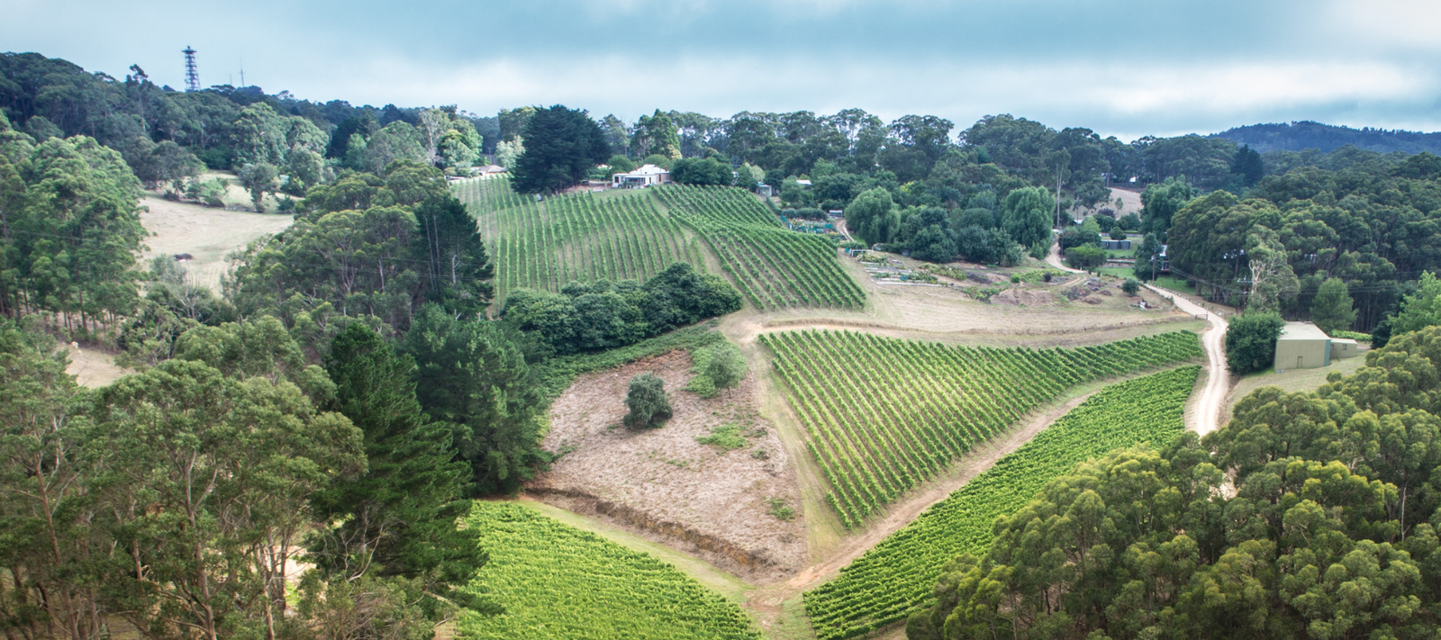 Adelaide Hills Region