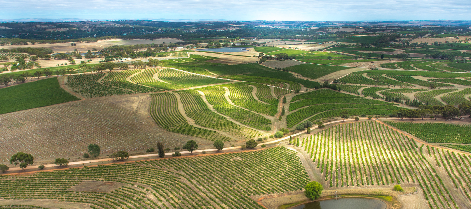 Clare Valley Region
