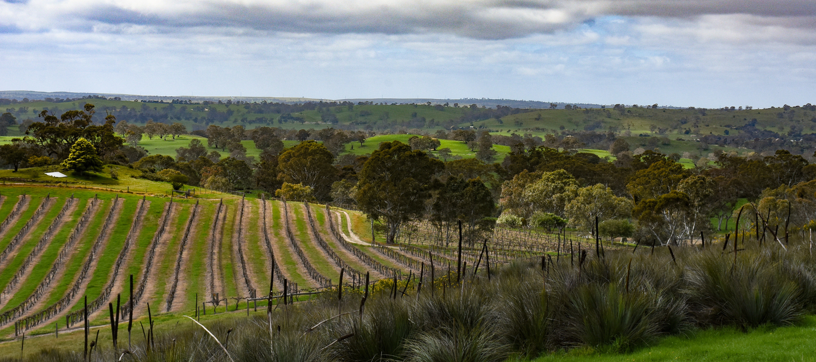 Eden Valley - The Region