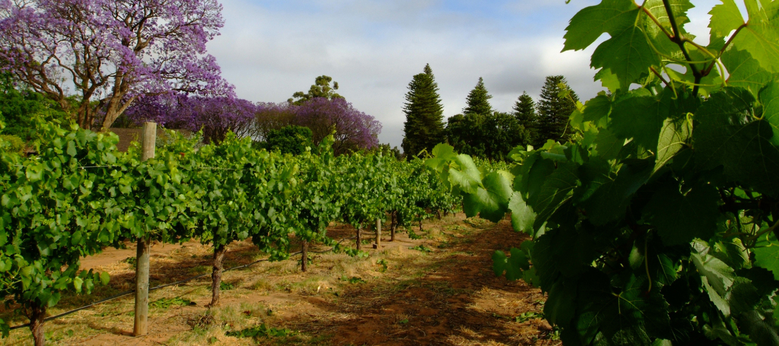 Western Australia - The Regions