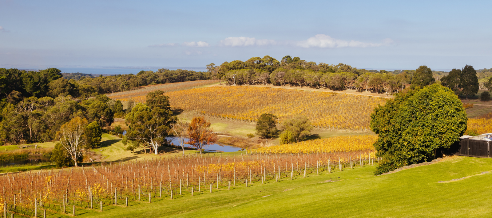 Mornington Peninsula - The Region